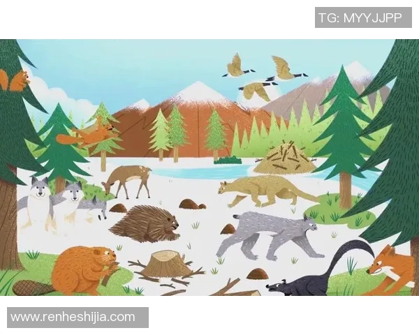 熊猫与足球的奇妙结合：探索动物世界中的运动魅力与环保意识